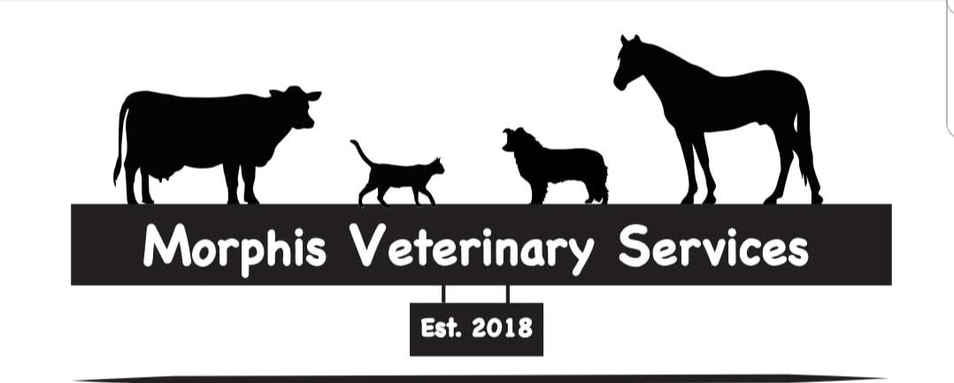 Morphis Veterinary Services, Inc.